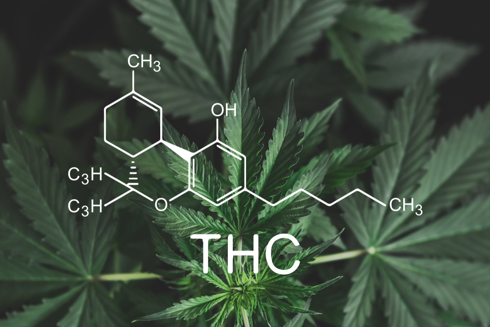 THC Detox scientific graph in a marijuana leaves background